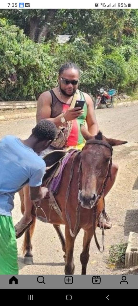 Mango Walk Homestay Montego Bay Luaran gambar